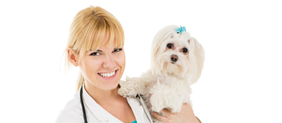 Veterinarian Holding a Small Dog